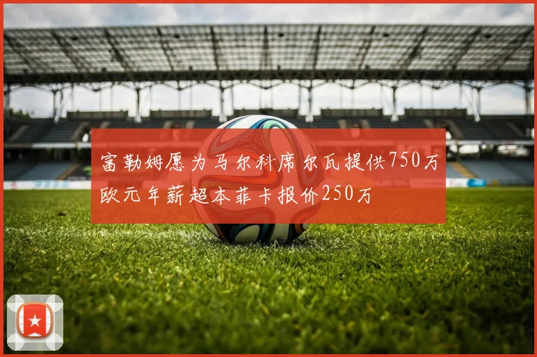 富勒姆愿为马尔科席尔瓦提供750万欧元年薪超本菲卡报价250万