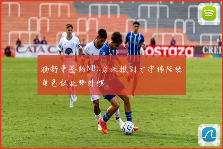 杨舒予签约NBL后未报到寸守伟陪练角色似杜锋外甥